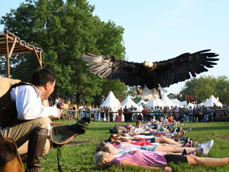 Koprivnica: Sokolari iz Slovačke najveća atrakcija zadnjeg dana Renesansnog festivala