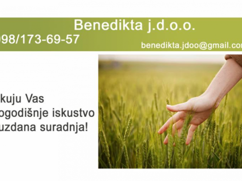 web stranica za poslovni plan