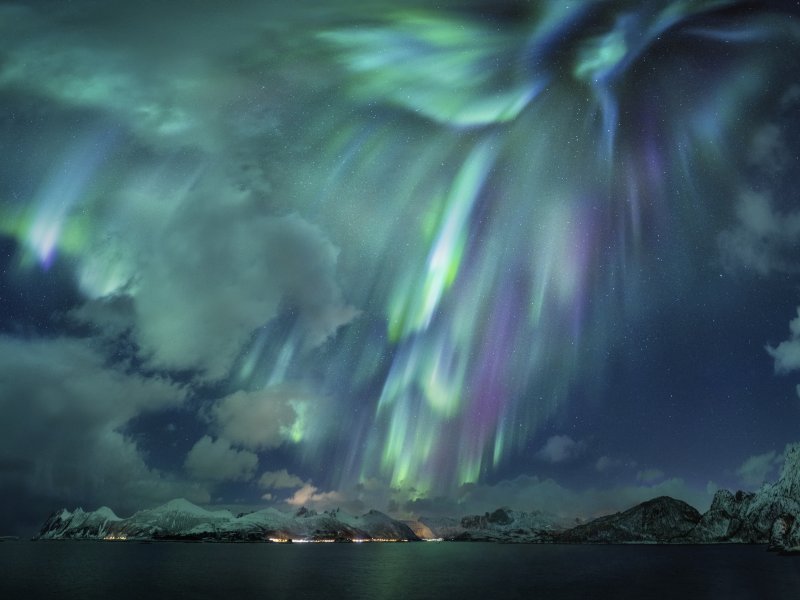 Kategorija 'Aurore': Pobjednik: The Green Lady, autor: Nicholas Roemmelt