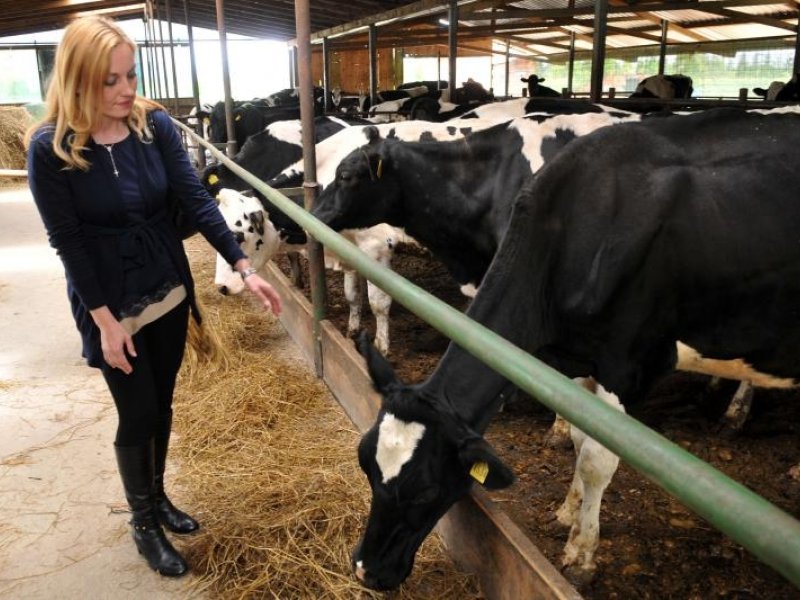 iskrica ene sa slikom