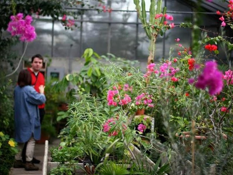 Vandali Unistili Botanicki Vrt U Kastelima Tportal