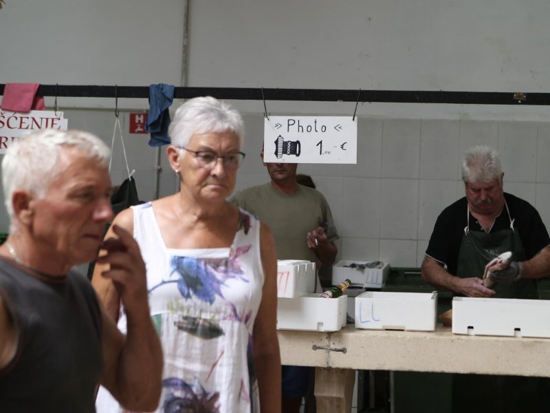 Fotografiranje čišćenja ribe u ribarnici naplaćuje se jedan euro
