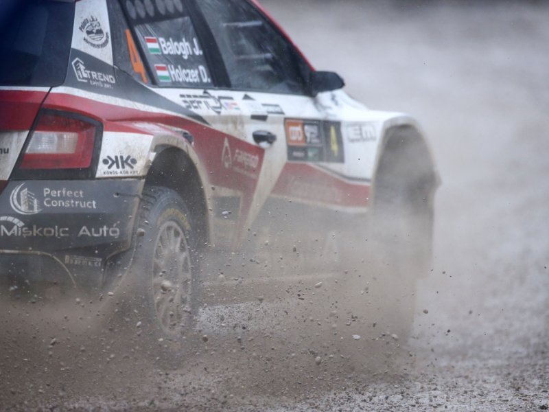 Ljubitelji oktana i brzine uživali u automobilističkoj utrci Rally Show Santa Domenica