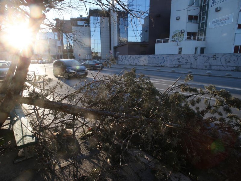 Split: Nakon olujnih udara bure najviše stradala stabla i drveni električni stupovi