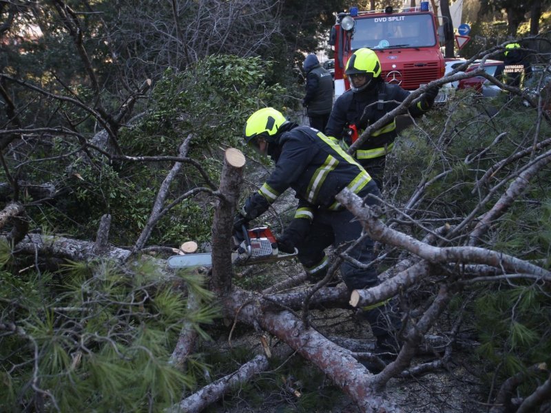 Split: Nakon olujnih udara bure najviše stradala stabla i drveni električni stupovi