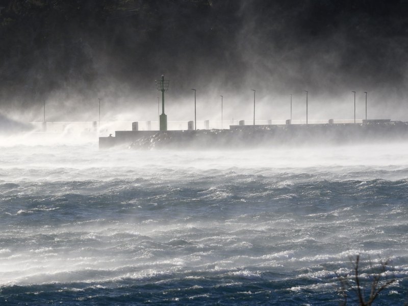 Makarska: Orkanska bura stvara smetnje u prometu i uzrokuje materijalnu štetu