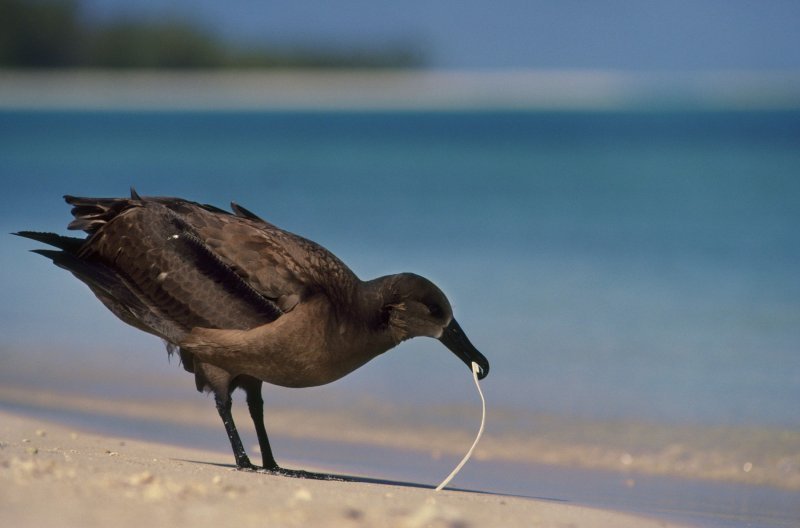 Plastika u oceanima