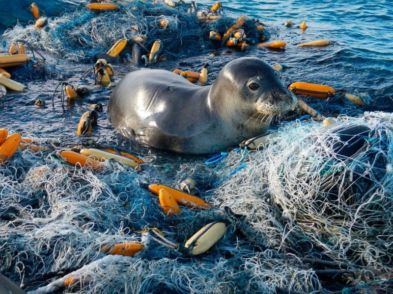 Plastika u oceanima