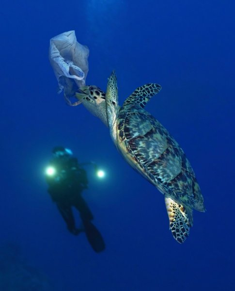 Plastika u oceanima