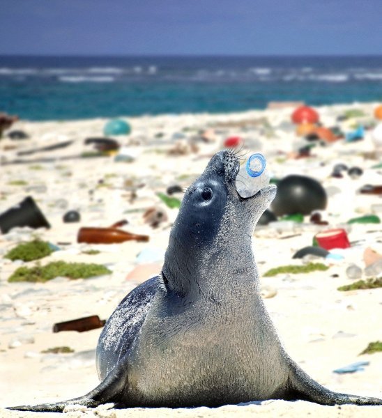 Plastika u oceanima