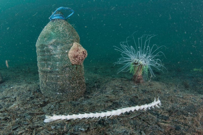 Plastika u oceanima