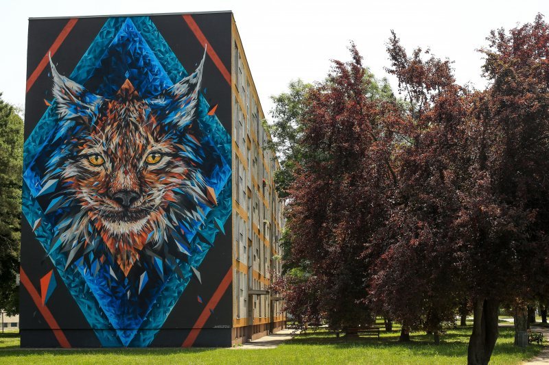 VukovarArt iza sebe je ostavio Vukovaru pet novih murala