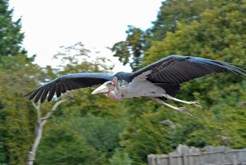 Zabavni park Puy du Fou