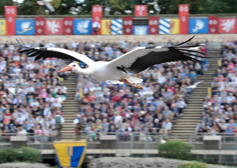 Zabavni park Puy du Fou