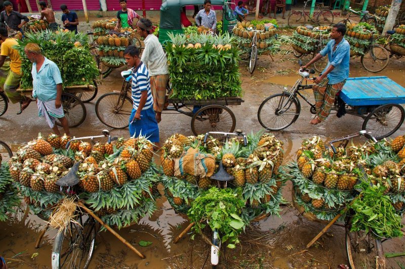 Bangladeški prodavači ananasa