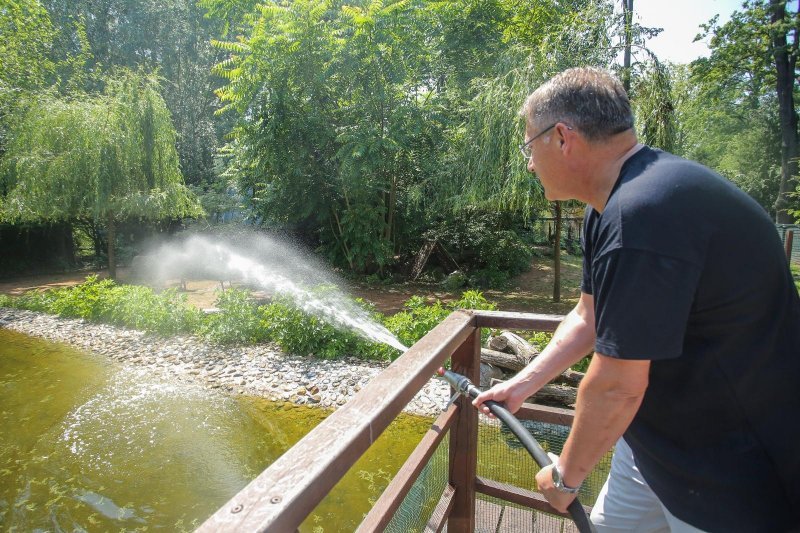 Životinje u Zagrebačkom ZOO-u uživaju u hladnim poslasticama