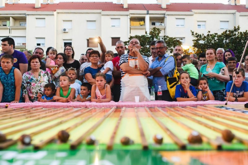 Benkovac: Puž KUD-a Branimir Benkovac najbrži je puž u Hrvatskoj