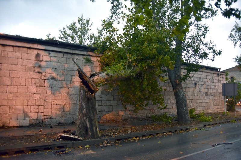 U Puli i okolici nevrijeme lomilo stabla