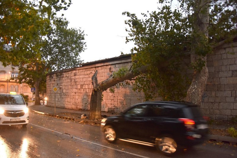 U Puli i okolici nevrijeme lomilo stabla