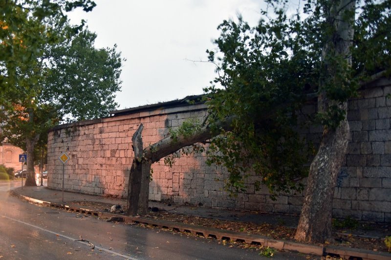 U Puli i okolici nevrijeme lomilo stabla