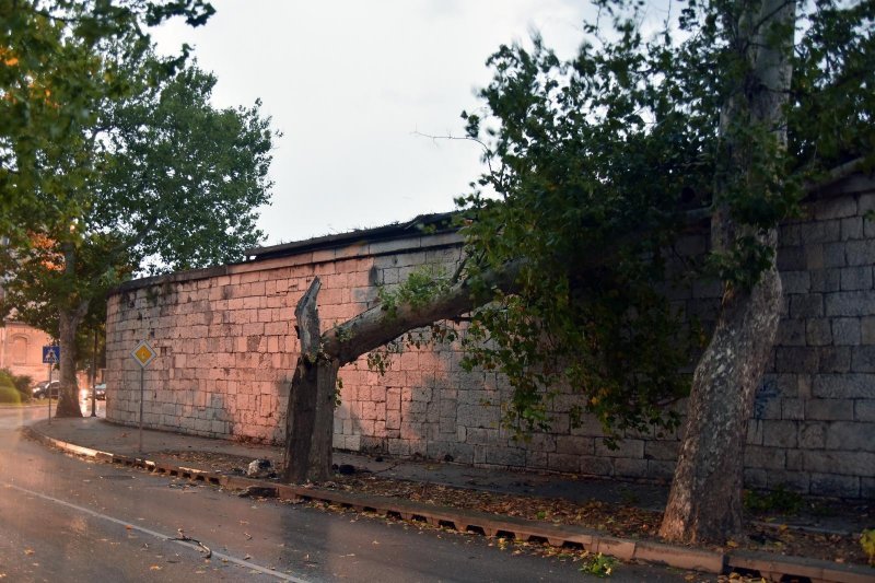 U Puli i okolici nevrijeme lomilo stabla