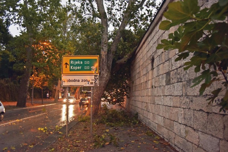 U Puli i okolici nevrijeme lomilo stabla