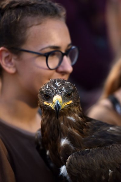 Svetvinčenat: Viteške borbe na Srednjovjekovnom festivalu oduševile posjetitelje