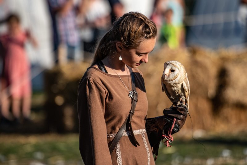 Svetvinčenat: Viteške borbe na Srednjovjekovnom festivalu oduševile posjetitelje (1)