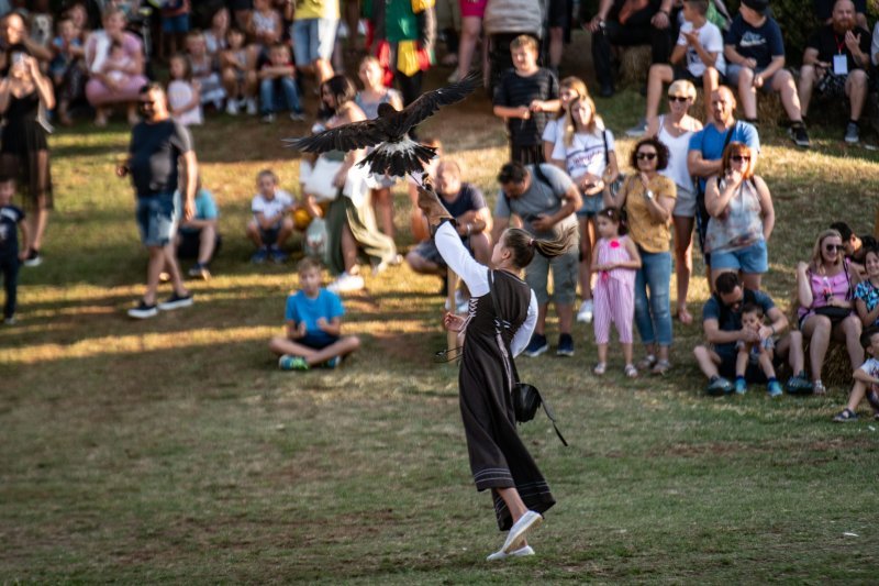 Svetvinčenat: Viteške borbe na Srednjovjekovnom festivalu oduševile posjetitelje (1)