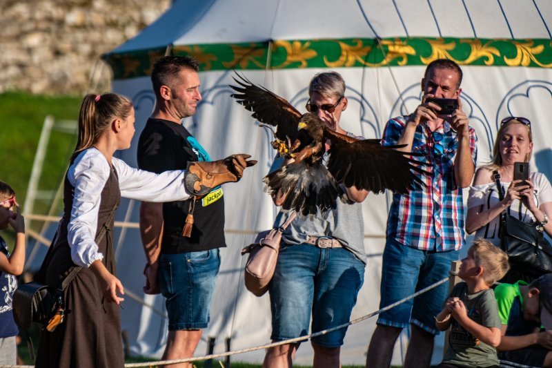 Svetvinčenat: Viteške borbe na Srednjovjekovnom festivalu oduševile posjetitelje (1)