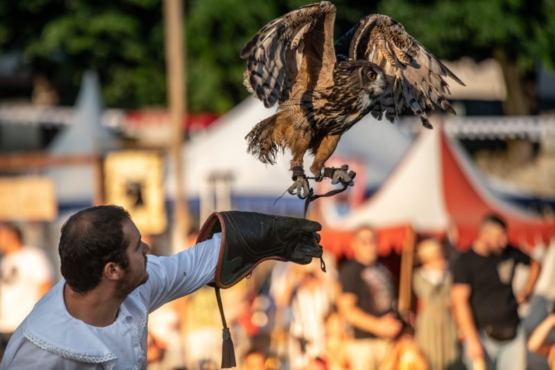 Svetvinčenat: Viteške borbe na Srednjovjekovnom festivalu oduševile posjetitelje (1)