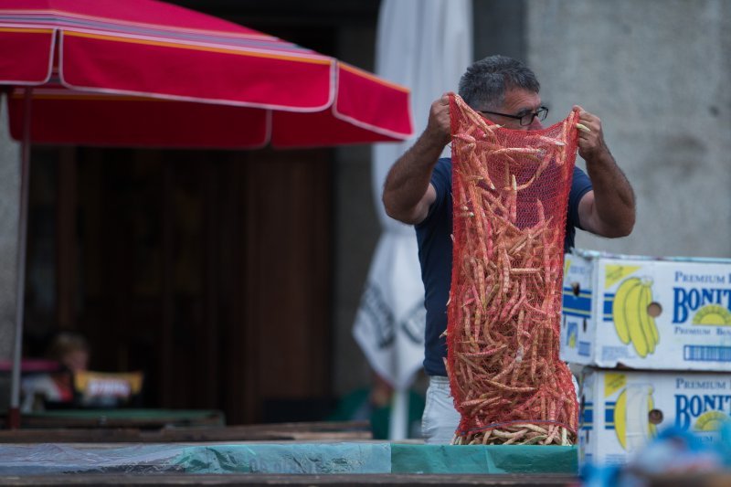 Jutro na tržnici Dolac