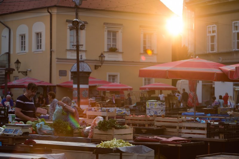 Jutro na tržnici Dolac