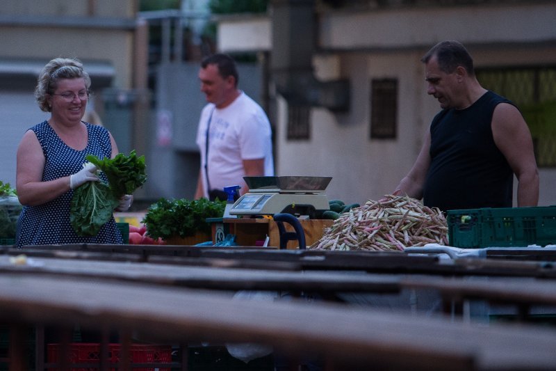 Jutro na tržnici Dolac