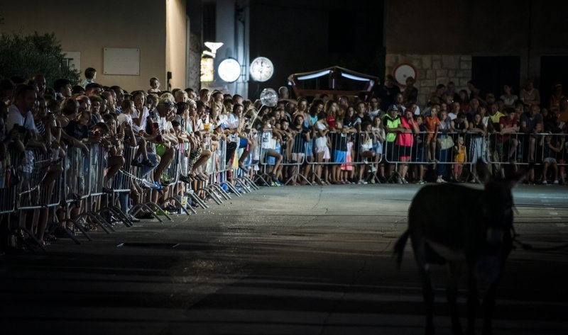 Održana 14. Međunarodna utrka tovara