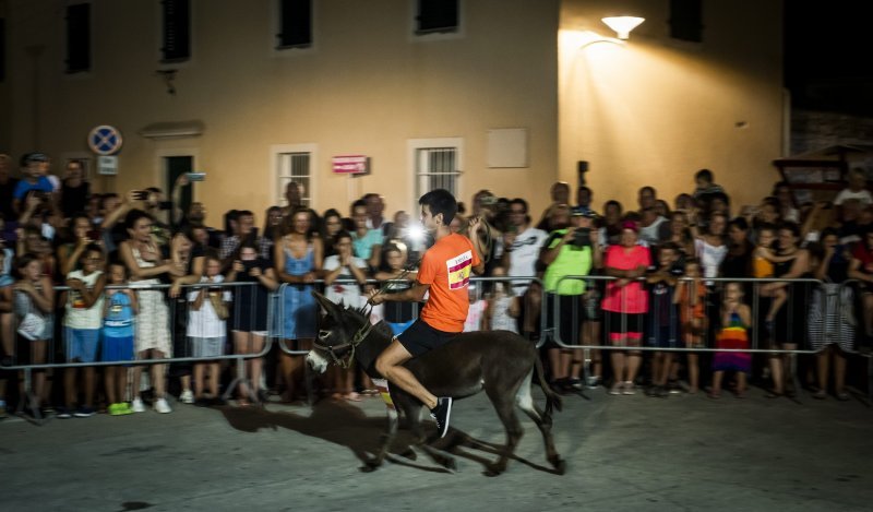 Održana 14. Međunarodna utrka tovara