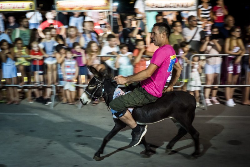 Održana 14. Međunarodna utrka tovara