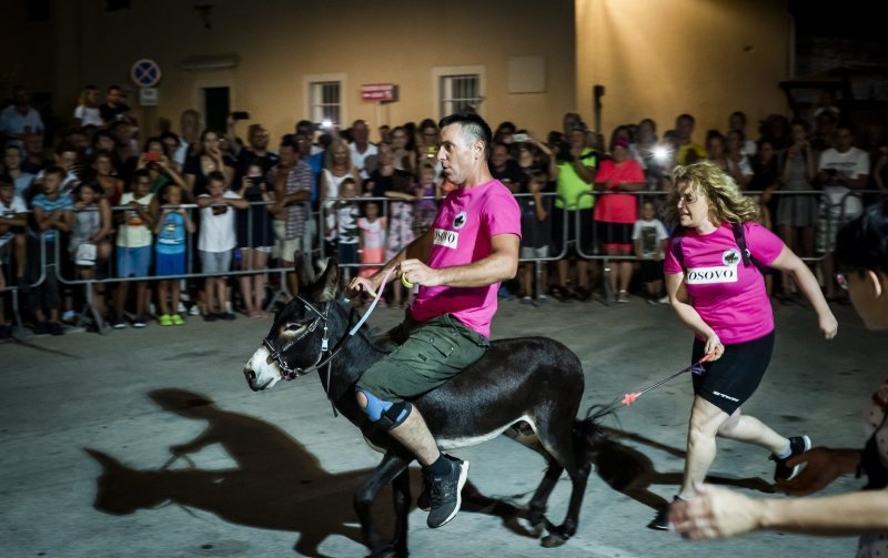 Održana 14. Međunarodna utrka tovara