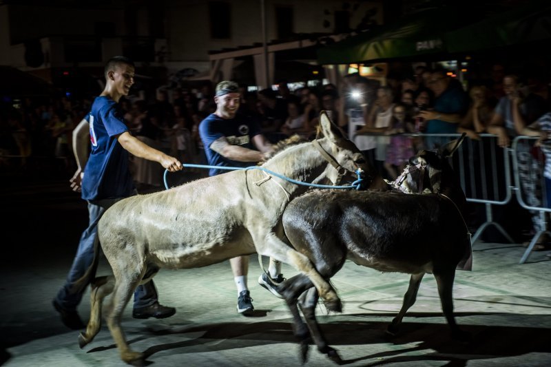 Održana 14. Međunarodna utrka tovara