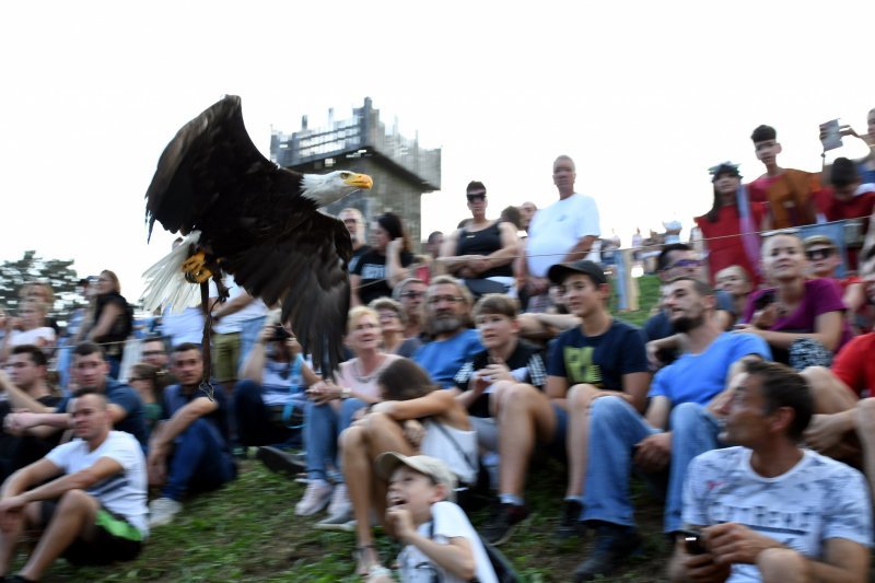 Koprivnica: Sokolari iz Slovačke najveća atrakcija zadnjeg dana Renesansnog festivala