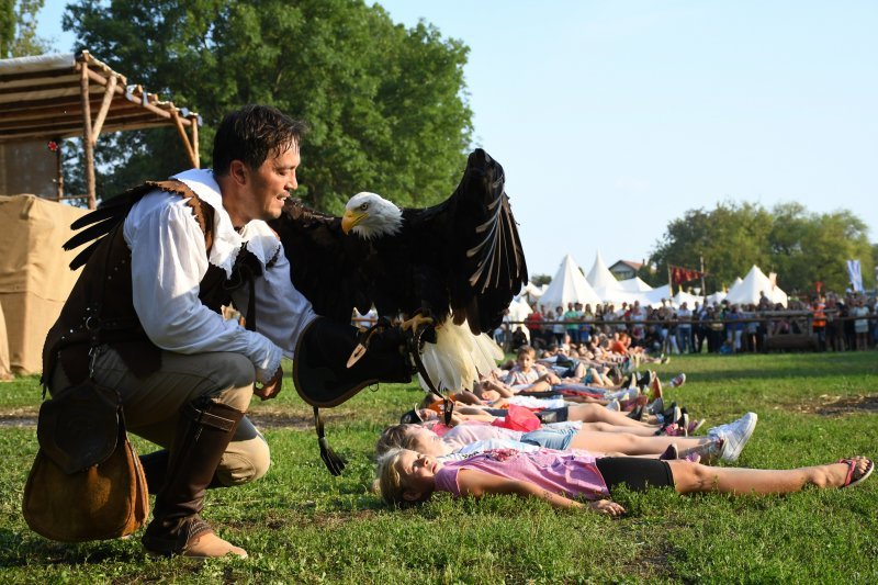 Koprivnica: Sokolari iz Slovačke najveća atrakcija zadnjeg dana Renesansnog festivala