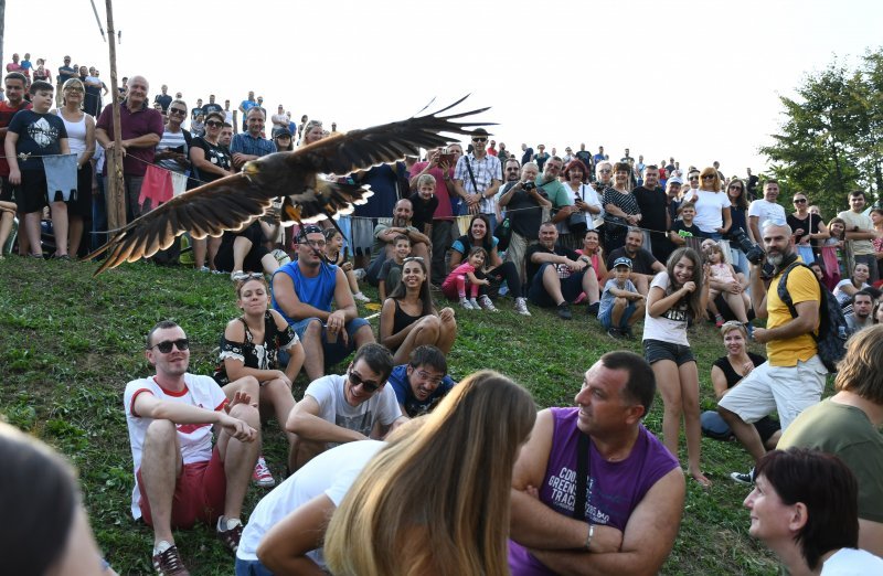 Koprivnica: Sokolari iz Slovačke najveća atrakcija zadnjeg dana Renesansnog festivala