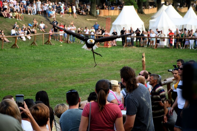 Koprivnica: Sokolari iz Slovačke najveća atrakcija zadnjeg dana Renesansnog festivala