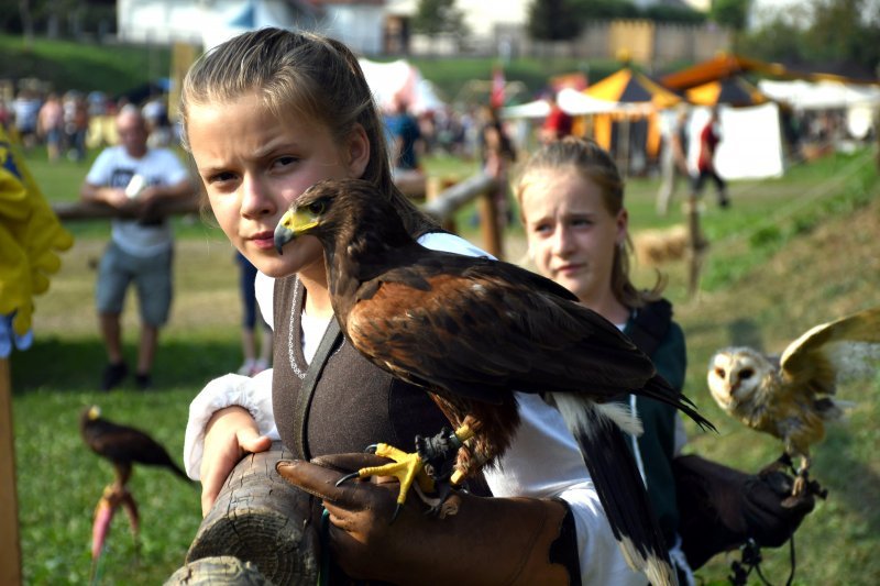 Koprivnica: Sokolari iz Slovačke najveća atrakcija zadnjeg dana Renesansnog festivala