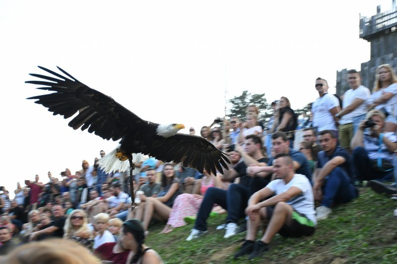 Koprivnica: Sokolari iz Slovačke najveća atrakcija zadnjeg dana Renesansnog festivala