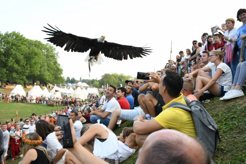 Koprivnica: Sokolari iz Slovačke najveća atrakcija zadnjeg dana Renesansnog festivala