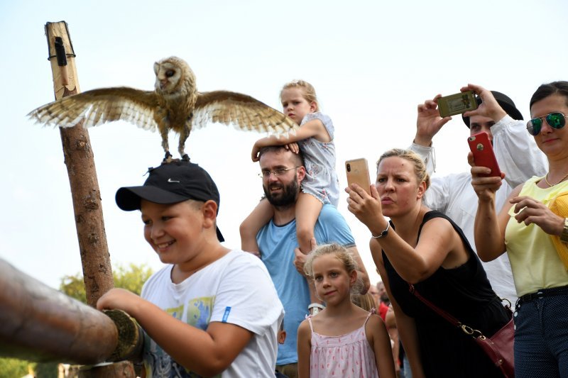 Koprivnica: Sokolari iz Slovačke najveća atrakcija zadnjeg dana Renesansnog festivala