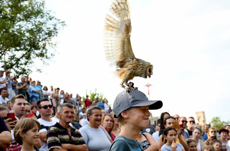 Koprivnica: Sokolari iz Slovačke najveća atrakcija zadnjeg dana Renesansnog festivala