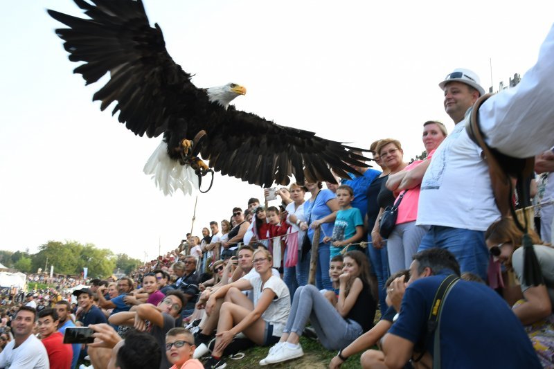 Koprivnica: Sokolari iz Slovačke najveća atrakcija zadnjeg dana Renesansnog festivala