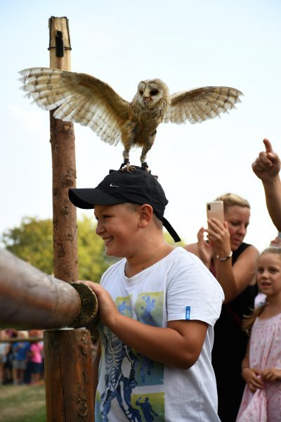 Koprivnica: Sokolari iz Slovačke najveća atrakcija zadnjeg dana Renesansnog festivala